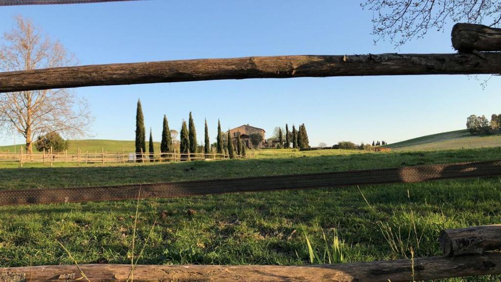 Bed And Breakfast Casale Del Sole Castellina Marittima Buitenkant foto