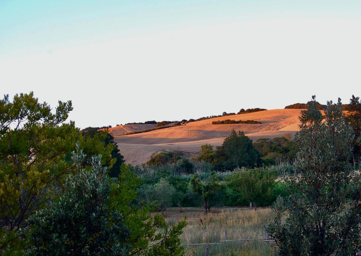 Bed And Breakfast Casale Del Sole Castellina Marittima Buitenkant foto