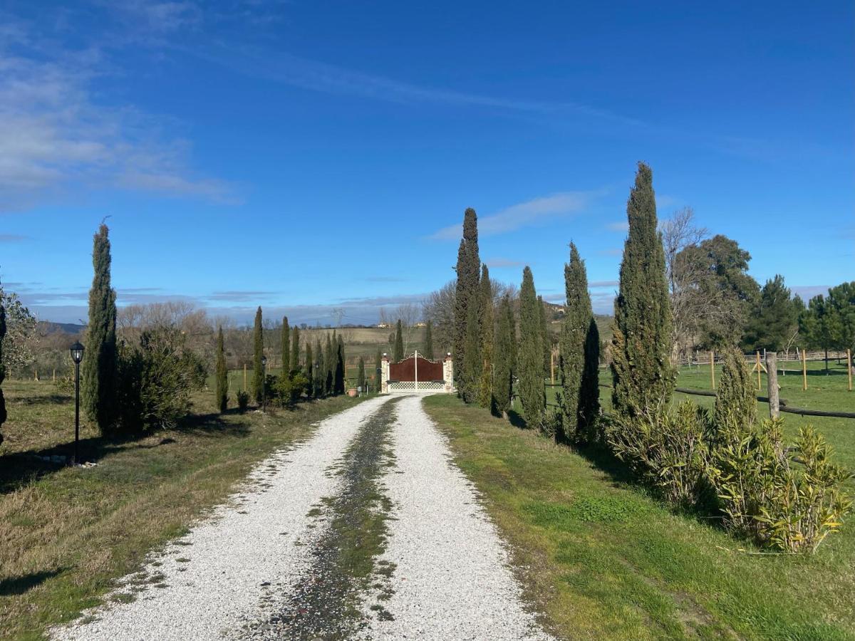Bed And Breakfast Casale Del Sole Castellina Marittima Buitenkant foto