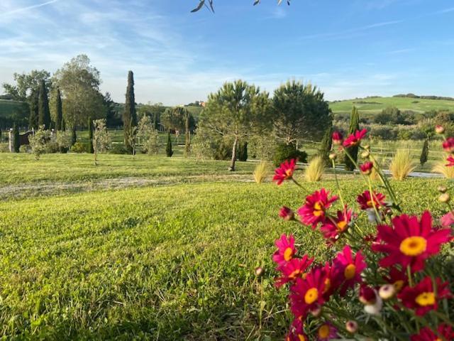 Bed And Breakfast Casale Del Sole Castellina Marittima Buitenkant foto