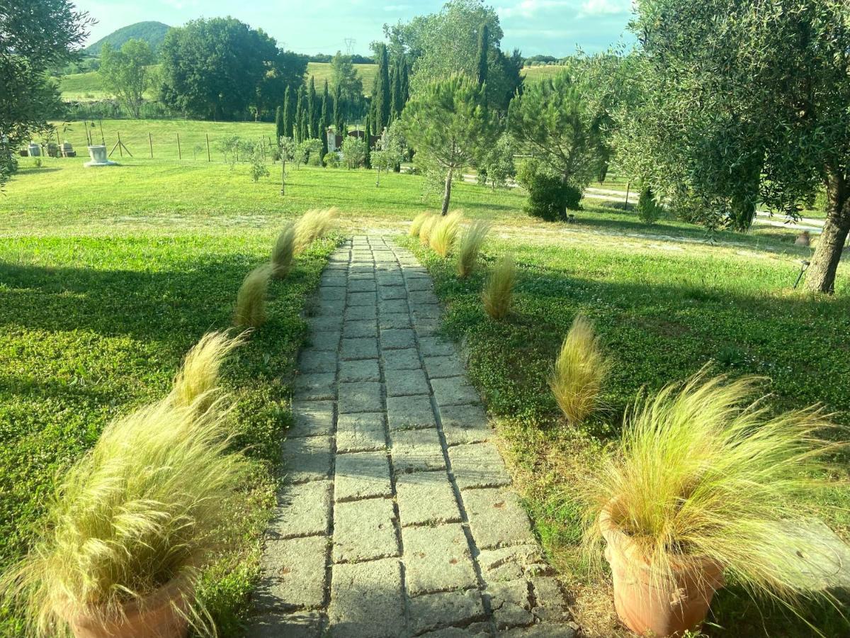 Bed And Breakfast Casale Del Sole Castellina Marittima Buitenkant foto